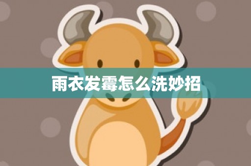 雨衣发霉怎么洗妙招
