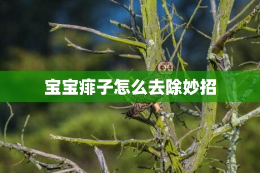 宝宝痱子怎么去除妙招