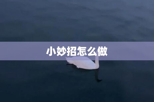 小妙招怎么做