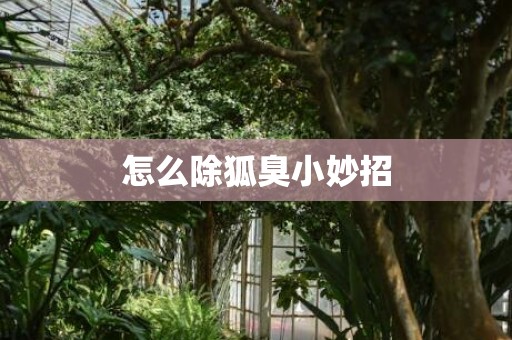 怎么除狐臭小妙招
