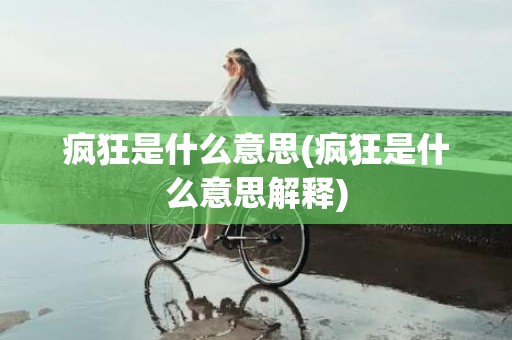 疯狂是什么意思(疯狂是什么意思解释)