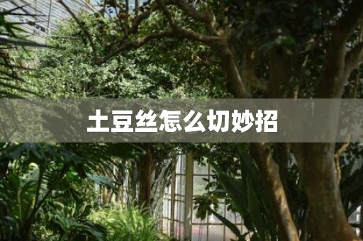 土豆丝怎么切妙招