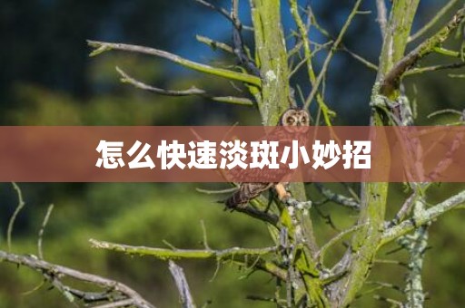 怎么快速淡斑小妙招