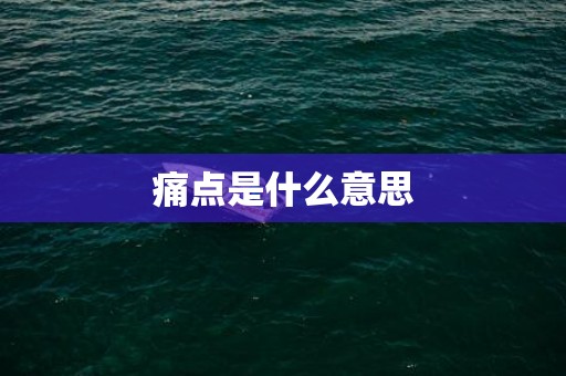 痛点是什么意思