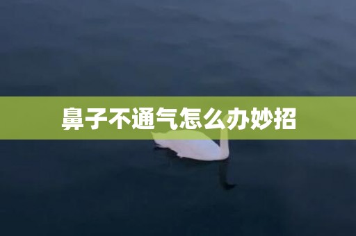 鼻子不通气怎么办妙招