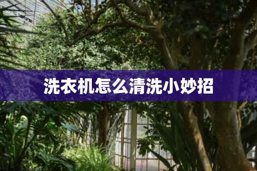 洗衣机怎么清洗小妙招