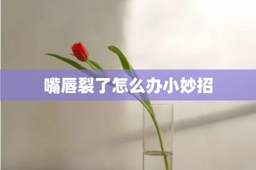 嘴唇裂了怎么办小妙招