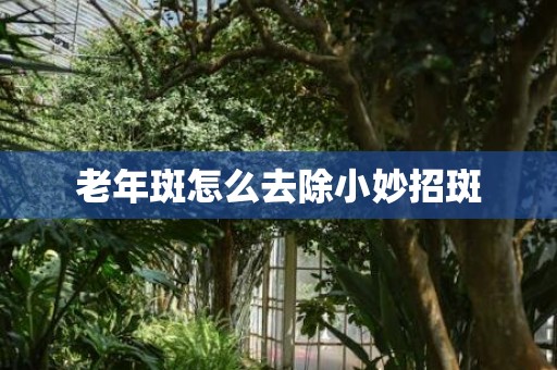 老年斑怎么去除小妙招斑