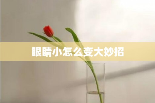 眼睛小怎么变大妙招