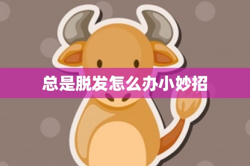 总是脱发怎么办小妙招