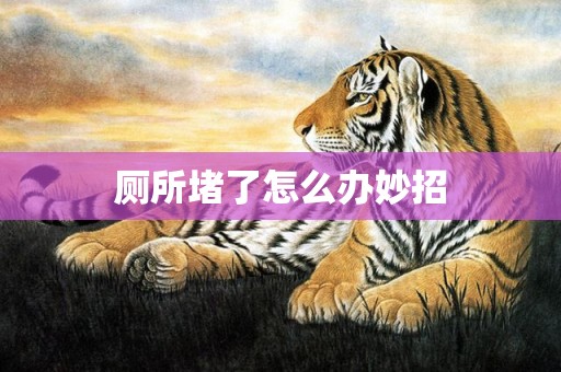 厕所堵了怎么办妙招