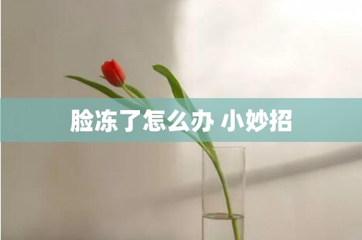 脸冻了怎么办 小妙招
