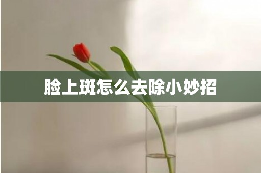 脸上斑怎么去除小妙招