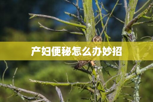 产妇便秘怎么办妙招