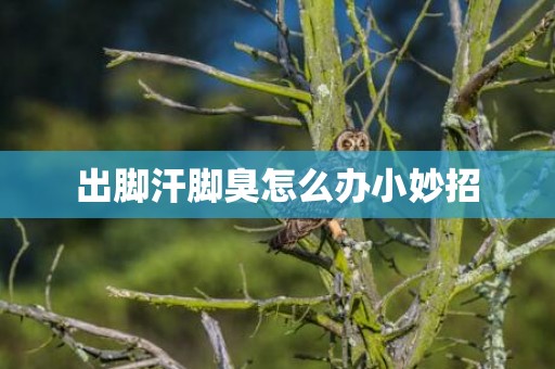 出脚汗脚臭怎么办小妙招