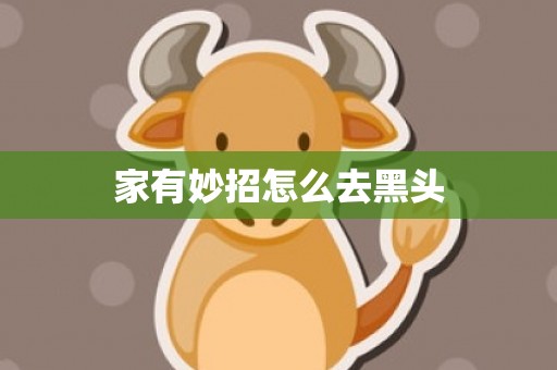 家有妙招怎么去黑头