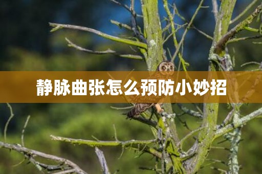 静脉曲张怎么预防小妙招
