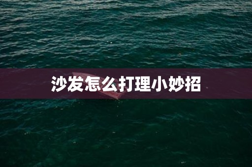 沙发怎么打理小妙招