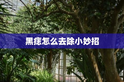 黑痣怎么去除小妙招