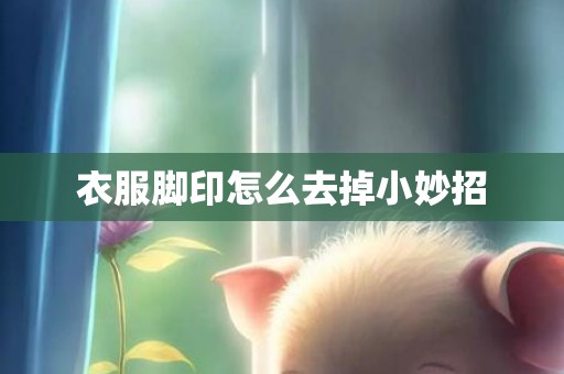 衣服脚印怎么去掉小妙招