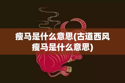 瘦马是什么意思(古道西风瘦马是什么意思)