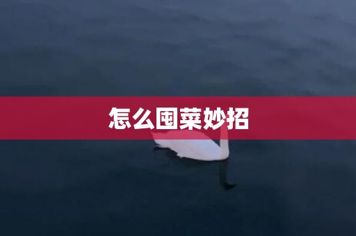 怎么囤菜妙招