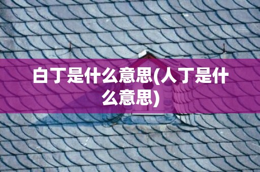 白丁是什么意思(人丁是什么意思)