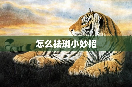 怎么祛斑小妙招
