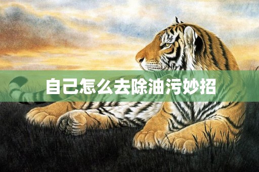 自己怎么去除油污妙招