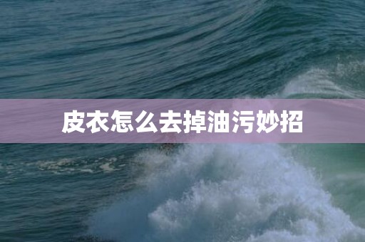 皮衣怎么去掉油污妙招