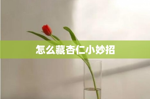 怎么藏杏仁小妙招