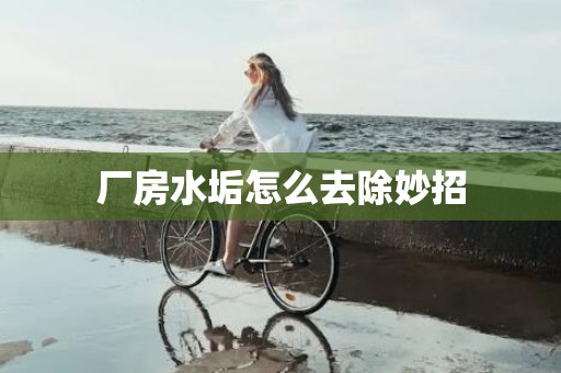 厂房水垢怎么去除妙招
