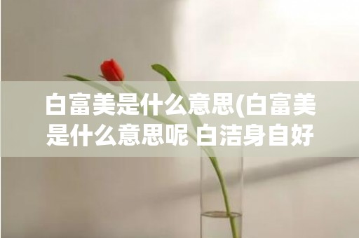 白富美是什么意思(白富美是什么意思呢 白洁身自好)
