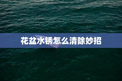 花盆水锈怎么清除妙招