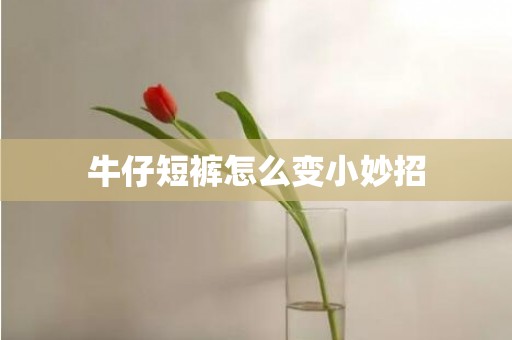 牛仔短裤怎么变小妙招