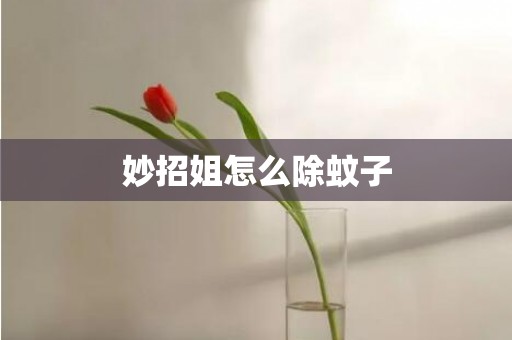 妙招姐怎么除蚊子