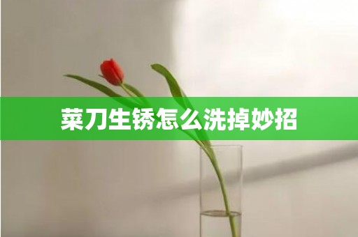 菜刀生锈怎么洗掉妙招