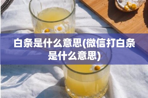 白条是什么意思(微信打白条是什么意思)