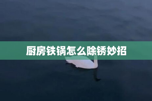 厨房铁锅怎么除锈妙招