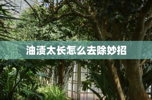 油渍太长怎么去除妙招
