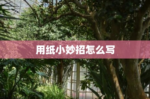 用纸小妙招怎么写