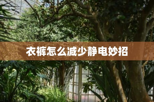 衣裤怎么减少静电妙招