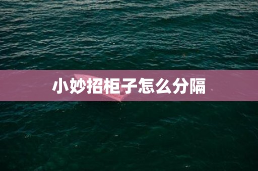 小妙招柜子怎么分隔