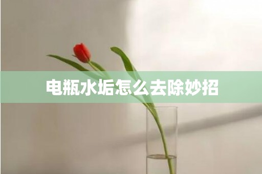 电瓶水垢怎么去除妙招