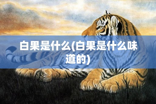 白果是什么(白果是什么味道的)