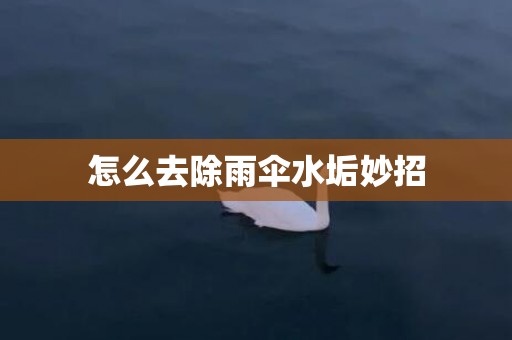 怎么去除雨伞水垢妙招