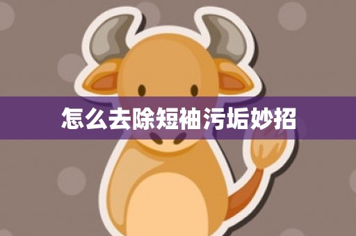 怎么去除短袖污垢妙招