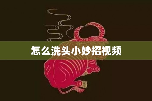怎么洗头小妙招视频