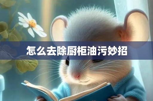 怎么去除厨柜油污妙招