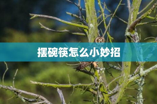 摆碗筷怎么小妙招